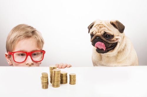 pet-tax-deductions-bellingham-ma-cpa