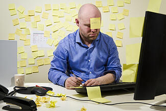 bellingham-law-productivity